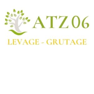 Logo LEVAGE V1 et V2