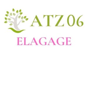 Logo ELAGAGE