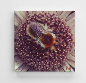 Abeille à cœur Toile
