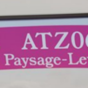 Autocollant Parechoc Rose 28x7,6