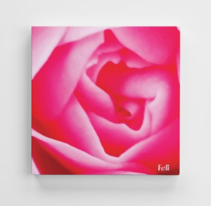 Cœur de Rose Toile