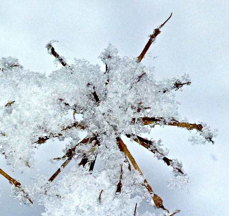 L1080975
