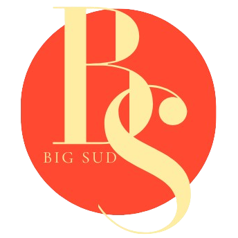 Logo big sud le big band made in sud